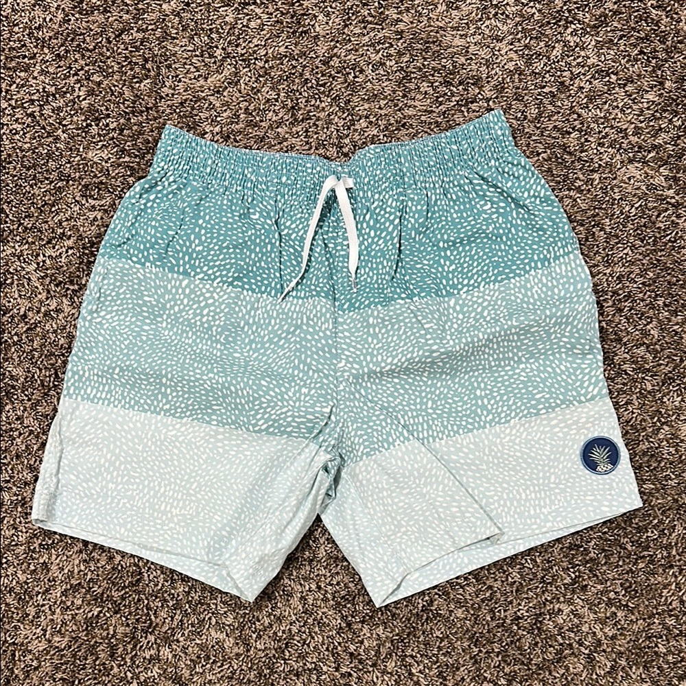 Chubbies Blue Swim Trunks with Gradient Design